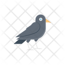 پیش‌نمایش فایل crow-2764621 از پک هالووین و وحشت