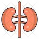 پیش‌نمایش فایل kidney-2766060 از پک پزشکی و سلامت