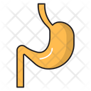 پیش‌نمایش فایل stomach-2766030 از پک پزشکی و سلامت