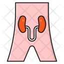 پیش‌نمایش فایل urology-2766066 از پک پزشکی و سلامت
