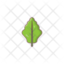 پیش‌نمایش فایل oak-2769402 از پک غذا