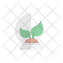 پیش‌نمایش فایل globe-plant-2766445 از پک فضا