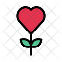 پیش‌نمایش فایل love-plant-2871777 از پک عشق و عاشقی