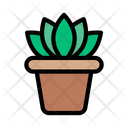 پیش‌نمایش فایل flower-plant-2871326 از پک دکوراسیون داخلی و خانه