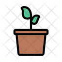 پیش‌نمایش فایل flower-plant-2871567 از پک سبک زندگی
