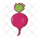 پیش‌نمایش فایل beetroot-2876816 از پک میوه و سبزیجات