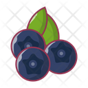 پیش‌نمایش فایل blueberry-2876811 از پک میوه و سبزیجات