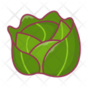 پیش‌نمایش فایل cabbage-2876839 از پک میوه و سبزیجات