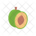 پیش‌نمایش فایل avocado-2876949 از پک میوه‌ها