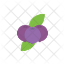 پیش‌نمایش فایل blueberry-2876946 از پک میوه‌ها