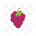 پیش‌نمایش فایل grapes-2876971 از پک میوه‌ها