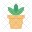 پیش‌نمایش فایل plant-pot-2877586 از پک علم و تکنولوژی