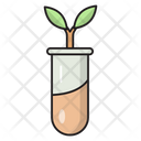 پیش‌نمایش فایل botany-experiment-2877645 از پک علم و تکنولوژی