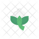 پیش‌نمایش فایل broccoli-2878232 از پک سبزیجات