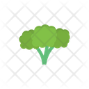 پیش‌نمایش فایل broccoli-2878233 از پک سبزیجات