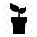 پیش‌نمایش فایل plant-2864745 از پک تغییر اقلیم