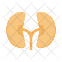 پیش‌نمایش فایل kidney-2884831 از پک پزشکی و مراقبت‌های بهداشتی
