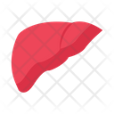 پیش‌نمایش فایل liver-2884824 از پک پزشکی و مراقبت‌های بهداشتی