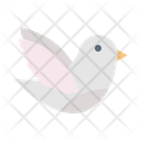 پیش‌نمایش فایل dove-2884696 از پک عشق و عروسی