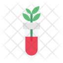 پیش‌نمایش فایل botany-experiment-2884506 از پک آموزش و علم