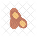پیش‌نمایش فایل peanut-2876767 از پک غذا