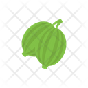 پیش‌نمایش فایل watermelon-2876778 از پک غذا