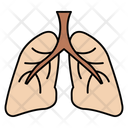 پیش‌نمایش فایل lungs-disease-2865188 از پک ویروس کرونا