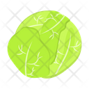 پیش‌نمایش فایل cabbage-2876599 از پک غذا