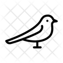 پیش‌نمایش فایل bird-2868324 از پک طبیعت