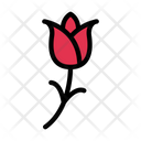 پیش‌نمایش فایل rose-2869018 از پک عروسی