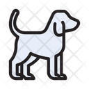 پیش‌نمایش فایل dog-2874524 از پک نمایش حیوانات خانگی