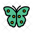 پیش‌نمایش فایل butterfly-2870346 از پک عید پاک