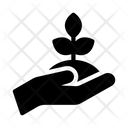 پیش‌نمایش فایل save-plant-2870271 از پک تمرکز و دقت