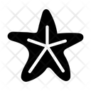 پیش‌نمایش فایل starfish-2868483 از پک طبیعت