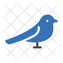 پیش‌نمایش فایل bird-2868504 از پک طبیعت