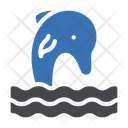 پیش‌نمایش فایل dolphin-2868498 از پک طبیعت
