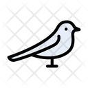 پیش‌نمایش فایل bird-2868378 از پک طبیعت