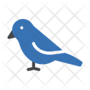 پیش‌نمایش فایل bird-3288267 از پک فصل بهار