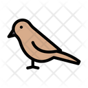 پیش‌نمایش فایل bird-3288499 از پک فصل بهار
