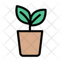 پیش‌نمایش فایل plant-pot-3288591 از پک فصل بهار