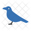 پیش‌نمایش فایل dove-3302817 از پک باغ وحش