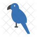 پیش‌نمایش فایل parrot-3302833 از پک باغ وحش