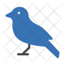 پیش‌نمایش فایل sparrow-3302842 از پک باغ وحش