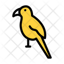 پیش‌نمایش فایل parrot-3303043 از پک باغ وحش