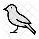 پیش‌نمایش فایل sparrow-3303052 از پک باغ وحش