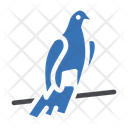 پیش‌نمایش فایل pigeon-3302585 از پک وایکینگ