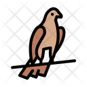 پیش‌نمایش فایل pigeon-3302728 از پک وایکینگ