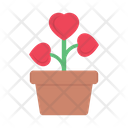 پیش‌نمایش فایل flower-pot-3358725 از پک عروسی