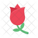 پیش‌نمایش فایل rose-3358729 از پک عروسی
