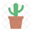 پیش‌نمایش فایل cactus-plant-3358024 از پک طبیعت